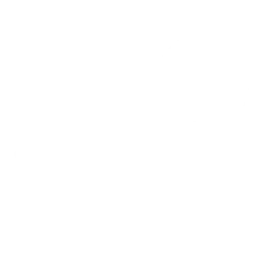 Fast Shipping