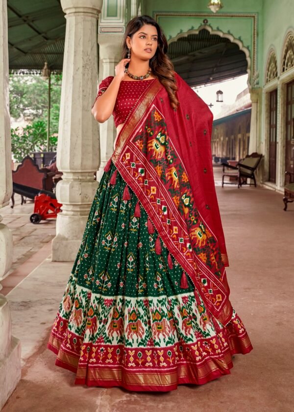 Myra Design Lehenga Choli