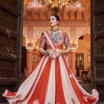 Elegant Multi Color Lehenga Choli