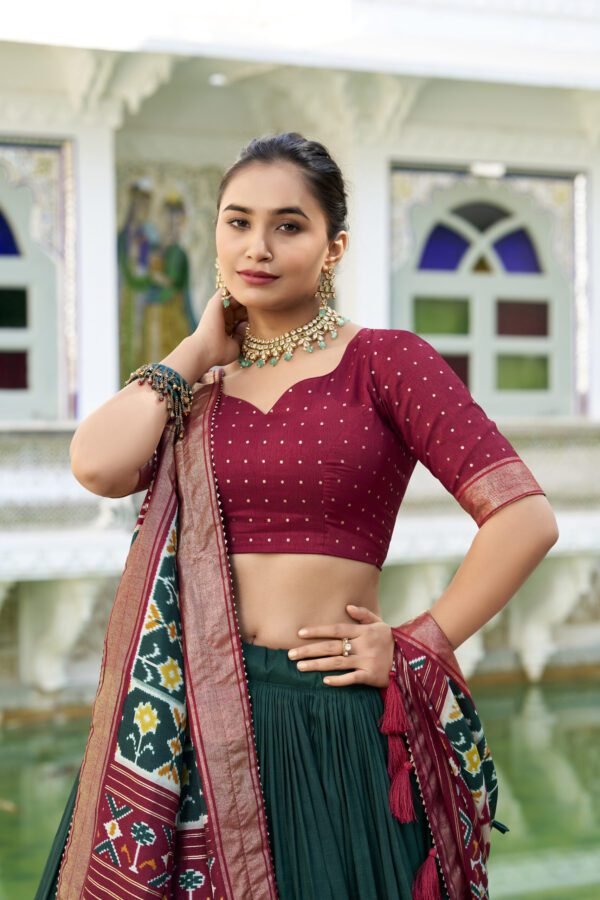 Mirror Design Lehenga Choli