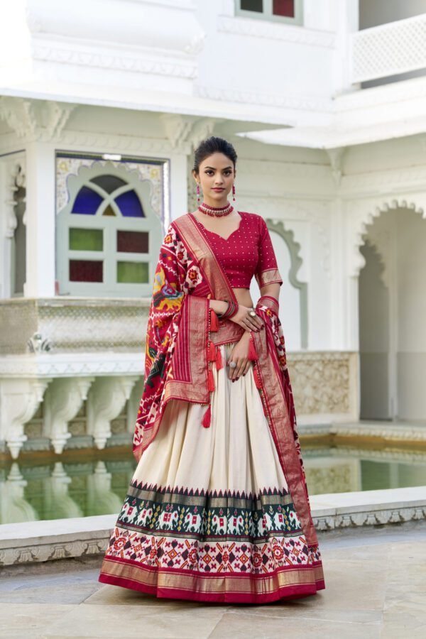 Mirror Design Lehenga Choli