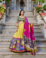 Gaay Design Lehenga Choli