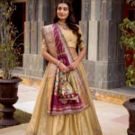 Paithani Lehenga 20261