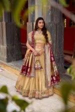Paithani Lehenga 20264