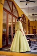 Pastel Pista Green Embroidered Lehenga Choli with Koti for Women5