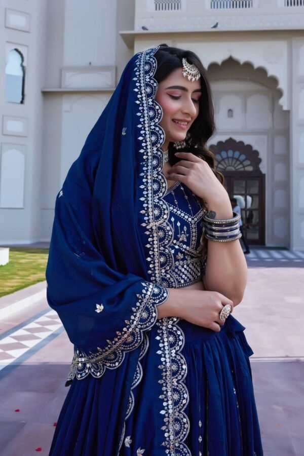 RaniPink BlueWedding Special Lehenga Choli 10