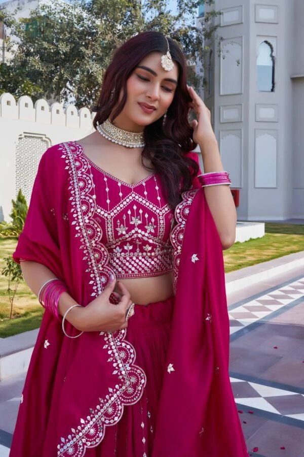 RaniPink BlueWedding Special Lehenga Choli 5