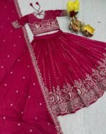 RaniPink BlueWedding Special Lehenga Choli 7